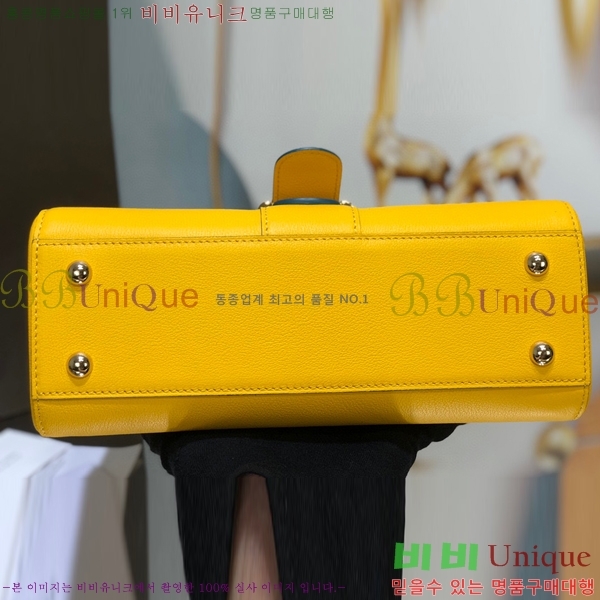 #���� �긮�ӹ� DS0028-5