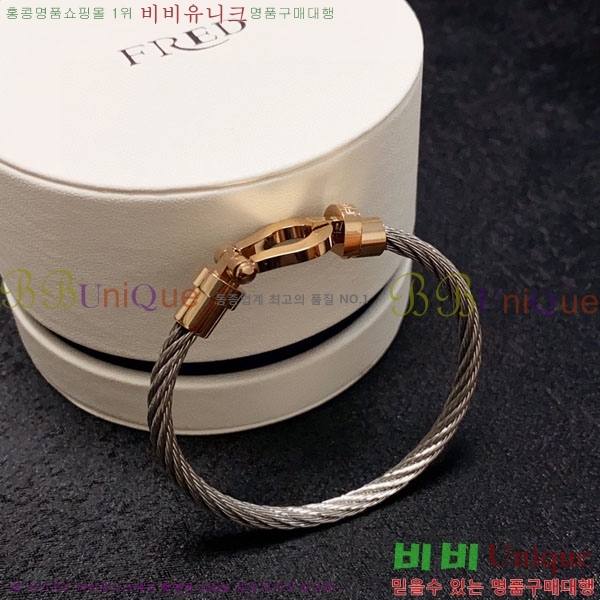 ������ ���� FR31077-1 ������ (�����̰� ȿ�� ����)