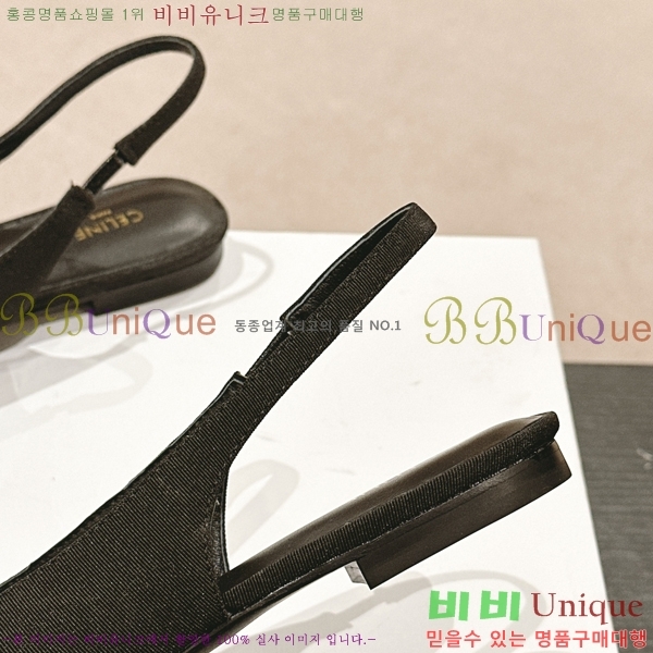 ������ Ʈ������ �÷� ���� 31CE2453021-1