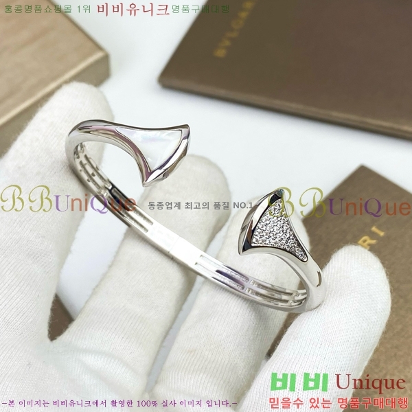 �Ұ��� ���� BVL952209-1