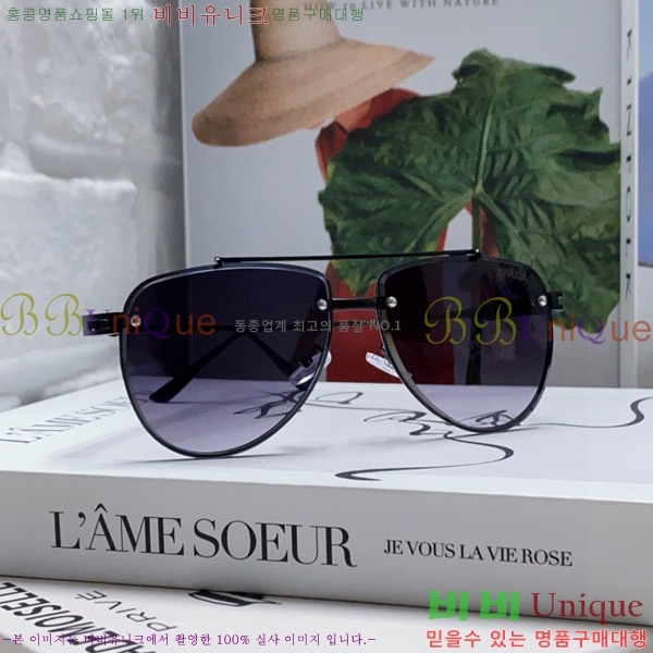 ����� ���۶� P2819065-5