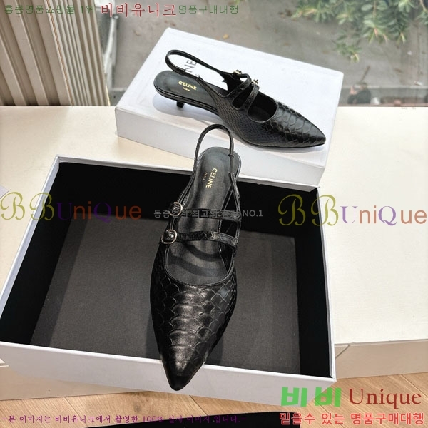 ���� ������ ������ 32C9779