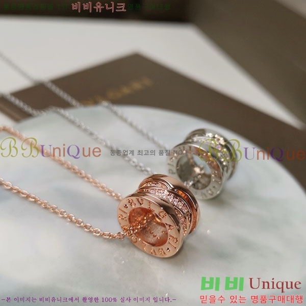 ���� �Ұ��� ����� BV1110123-1