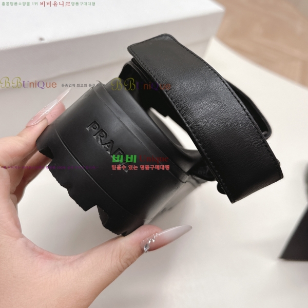 ���� ����� ���� 31P255244-1