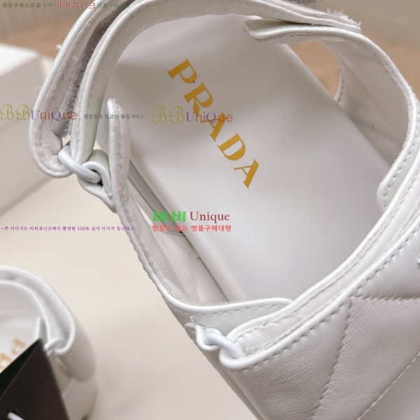 ���� ����� ���� 31P255244-2