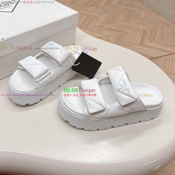 ���� ����� ���� 31P255244-4