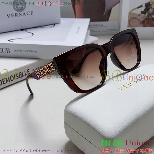 ������ü ���۶� VE102295-5