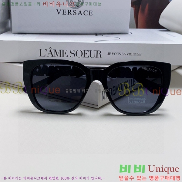 ������ü ���۶� VE102295-6