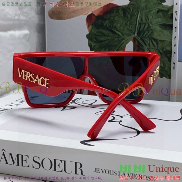 ������ü ���۶� VE102293-1