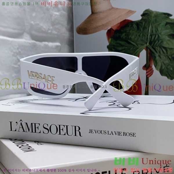 ������ü ���۶� VE102296-4