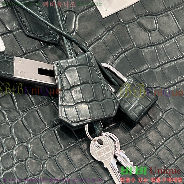 #�����޽� ��Ų�� 30 hcp moreletii crocodile 36HE856622-1002