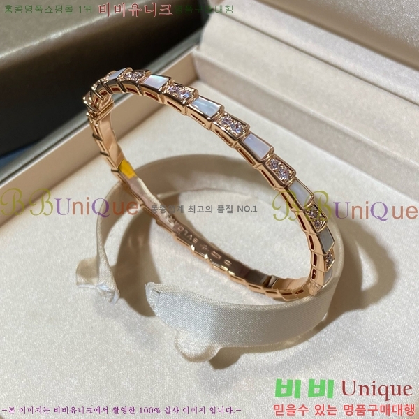 ���� �Ұ��� ���� BV1111244-1