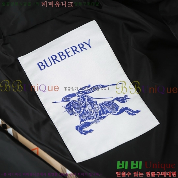 ���� ������ �ٿ� �е� BU6145679-2