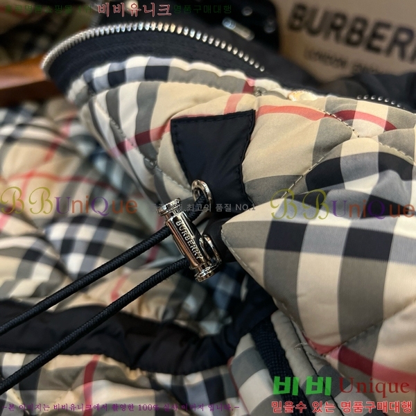 ���� ������ �ٿ� �е� BU2536219-2