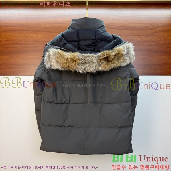 ���� ĳ���ٱ��� �ٿ� �е� CAG157496-2