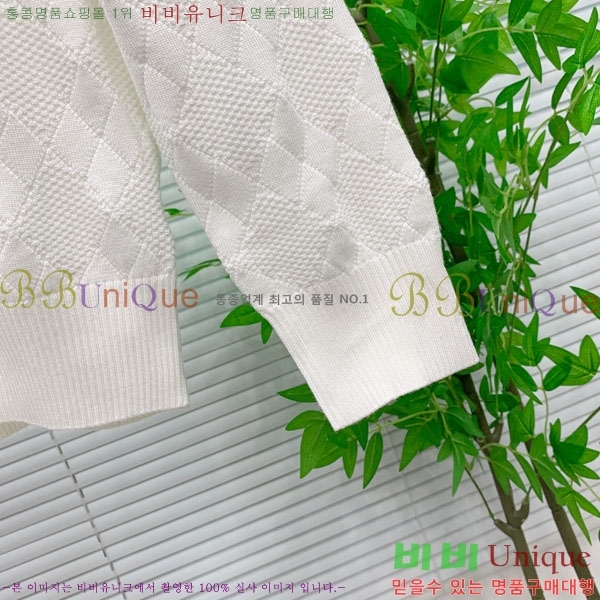 ���� ���װ�����Ÿ ������ BV463828-2