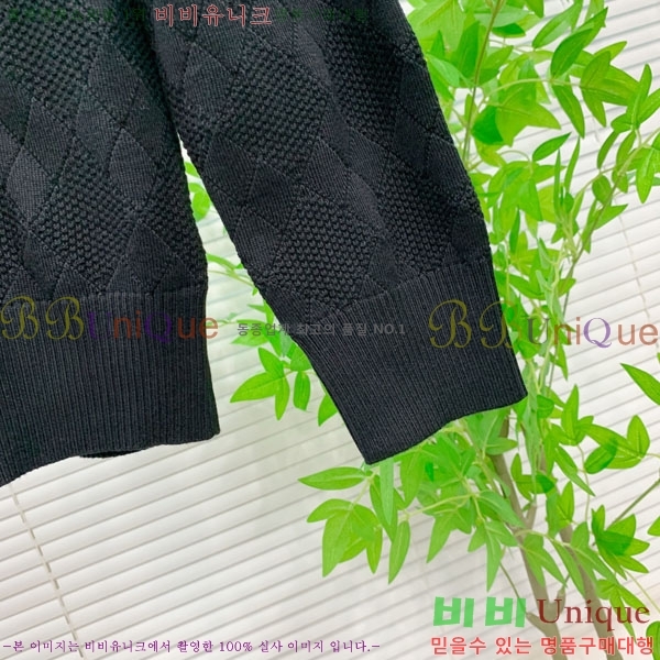 ���� ���װ�����Ÿ ������ BV463828-1