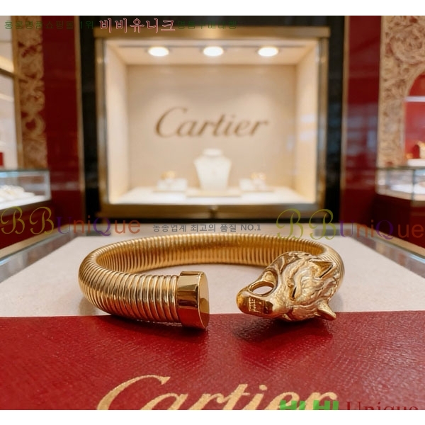 �������� ��쿡 ���� CA3434507-10