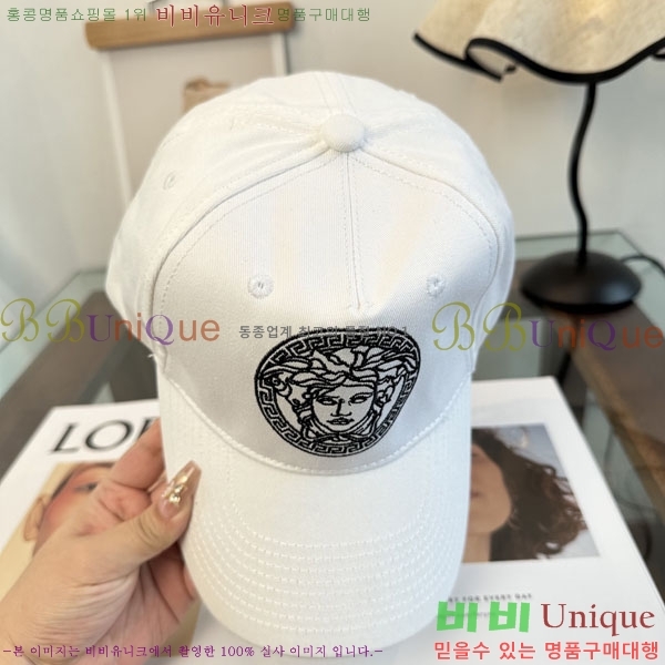 ����*ü ���� V86421-2