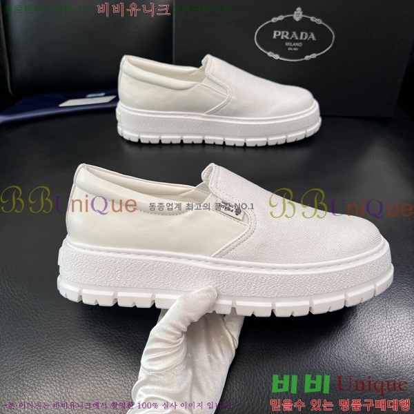 ���� ����� ������ ���� P6005504-6