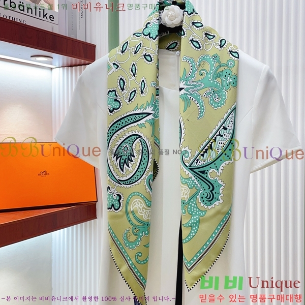#�����޽� ���÷�/��ī�� SHMS2649-2